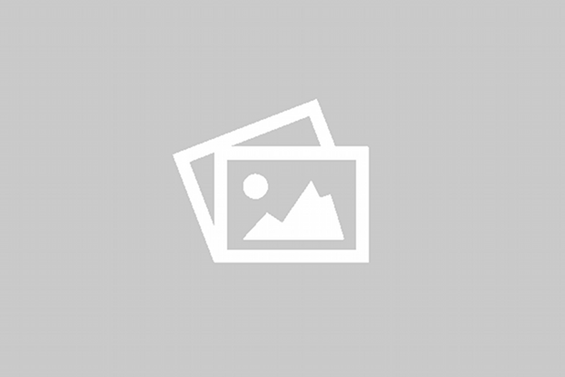 Premium Organic Gir Kesar Mangoes – Wild Grown from Dang Forest ( 10Kg  Pack )